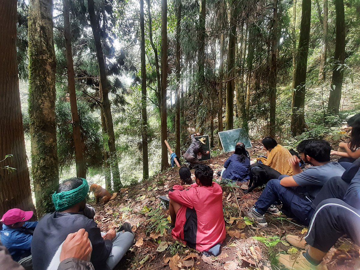 Tieedi Forest Garden offers a unique co-living experience with nature