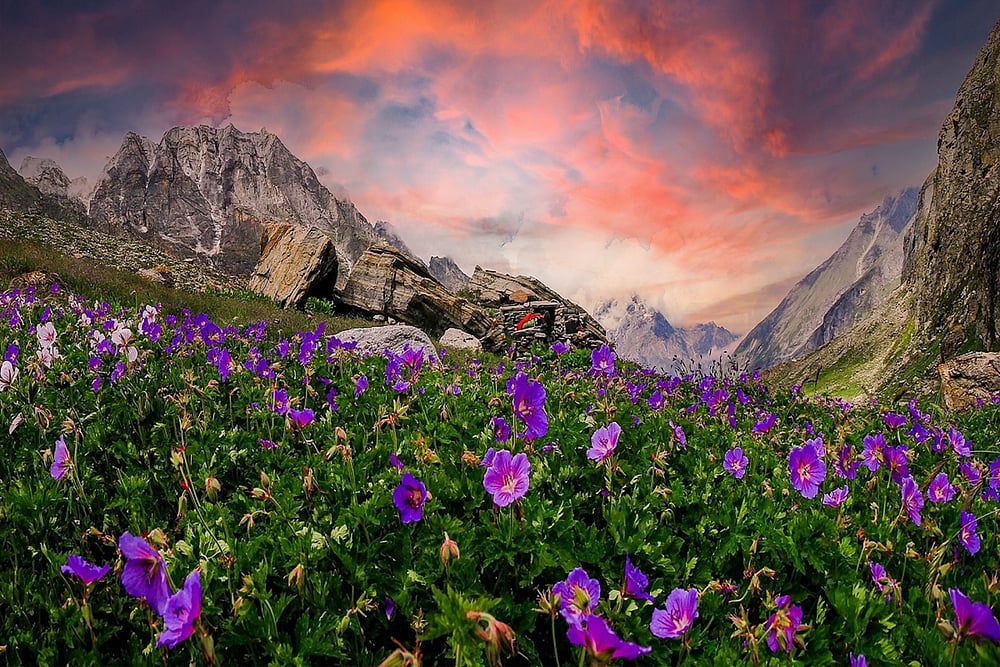 Ekantak/Shutterstock : Valley of Flowers National Park in Chamoli district, Uttarakhand