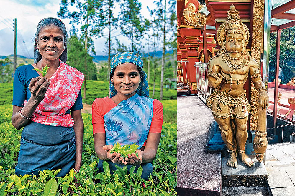 (Left-Right) Women pictured working in a tea estate; A statue of Lord Hanuman at the entrance of the Seetha Amman Temple