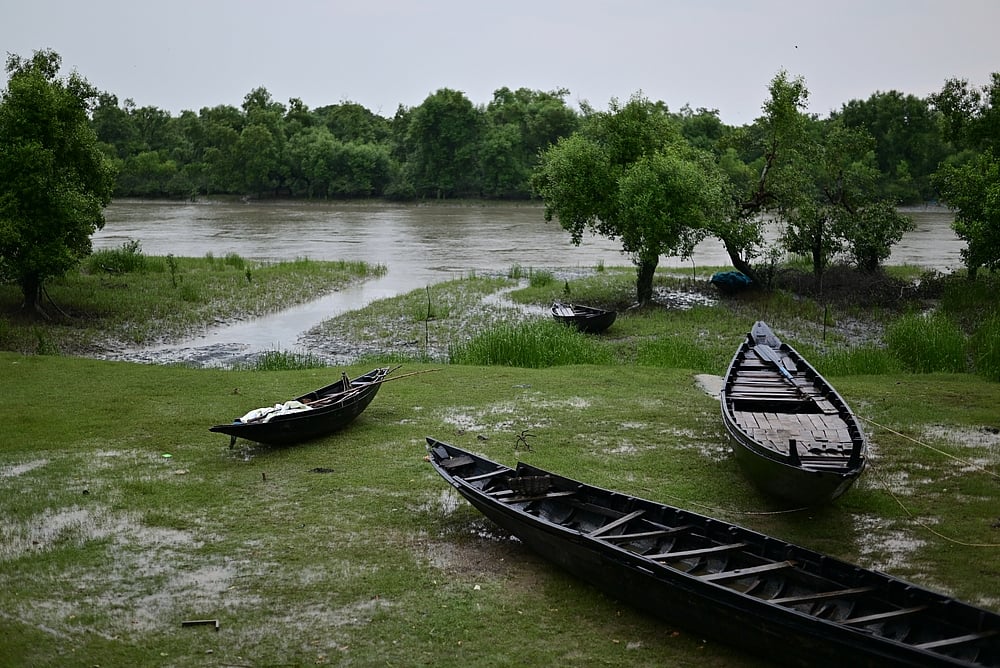The Sunderbans mangrove delta