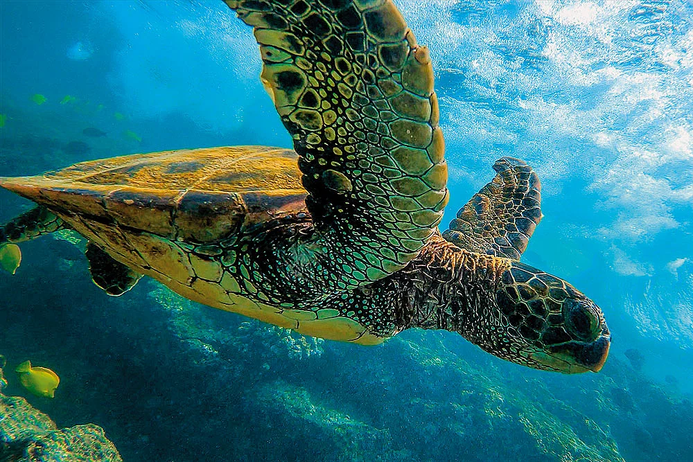 Photos: Shutterstock