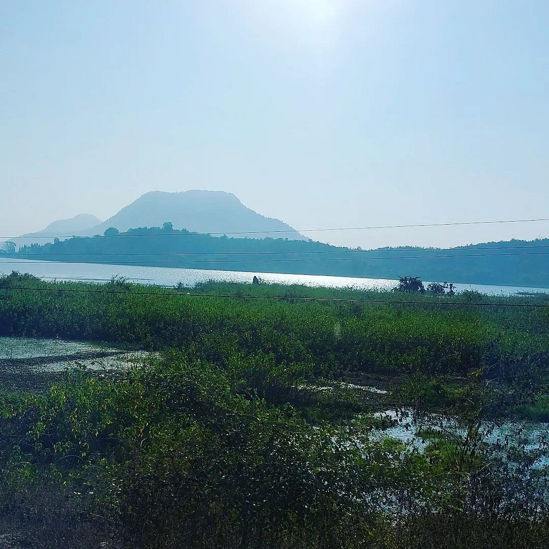 Nandankanan on the banks of Kanjia lake is a short drive from Bhubaneswar