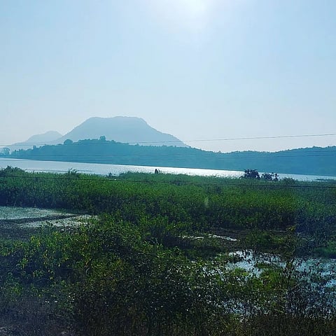 Nandankanan on the banks of Kanjia lake is a short drive from Bhubaneswar