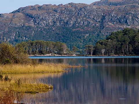 Loch Maree