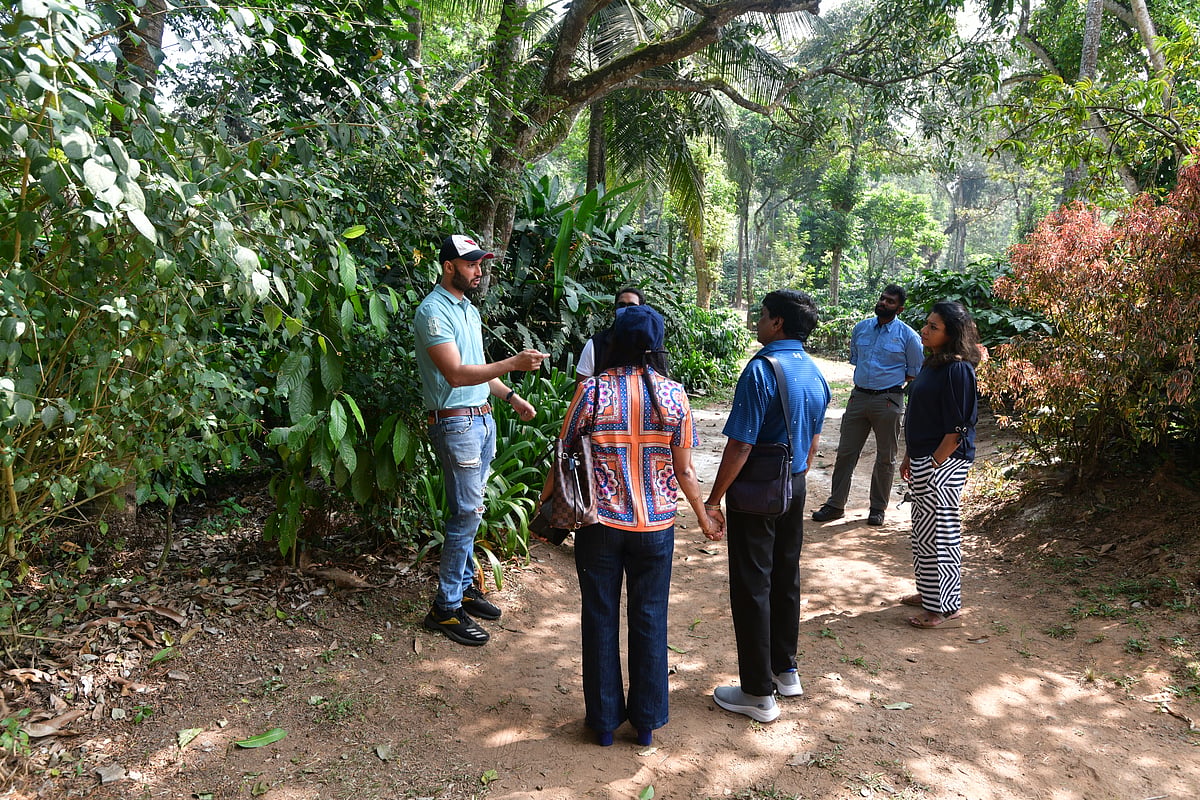 Devaya gives a coffee-trail of his plantation