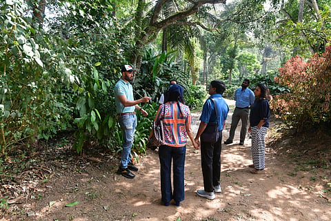 Devaya gives a coffee-trail of his plantation