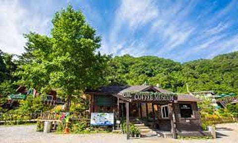 Gangneung Coffee Museum is surrounded by the gorgeous natural beauty of Gangneung's Wangsan Valley