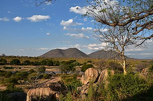Beyond The Serengeti: Discovering Tanzania’s Wild Heart