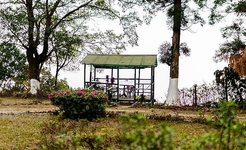 The Selim Hill Tea Estate was founded in 1870