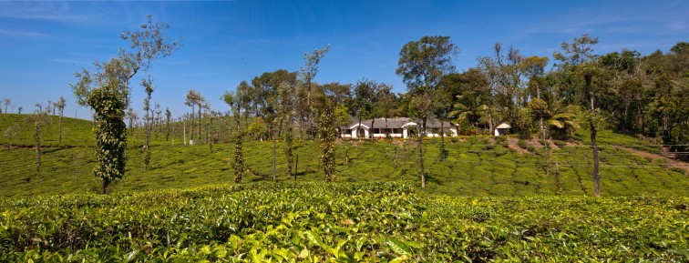 Glenlorna Bungalow is tucked amidst rolling hills of endless tea