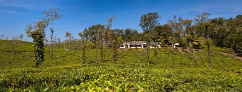 Glenlorna Bungalow is tucked amidst rolling hills of endless tea