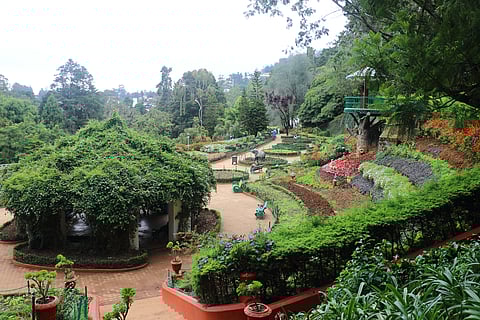 Government Botanical Garden