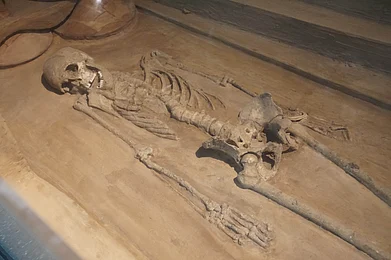 Shutterstock : A female skeleton from the Harappan civilisation