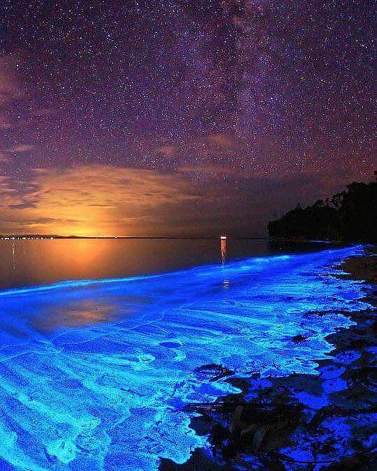 The glow of bioluminescent phytoplankton called dinoflagellates