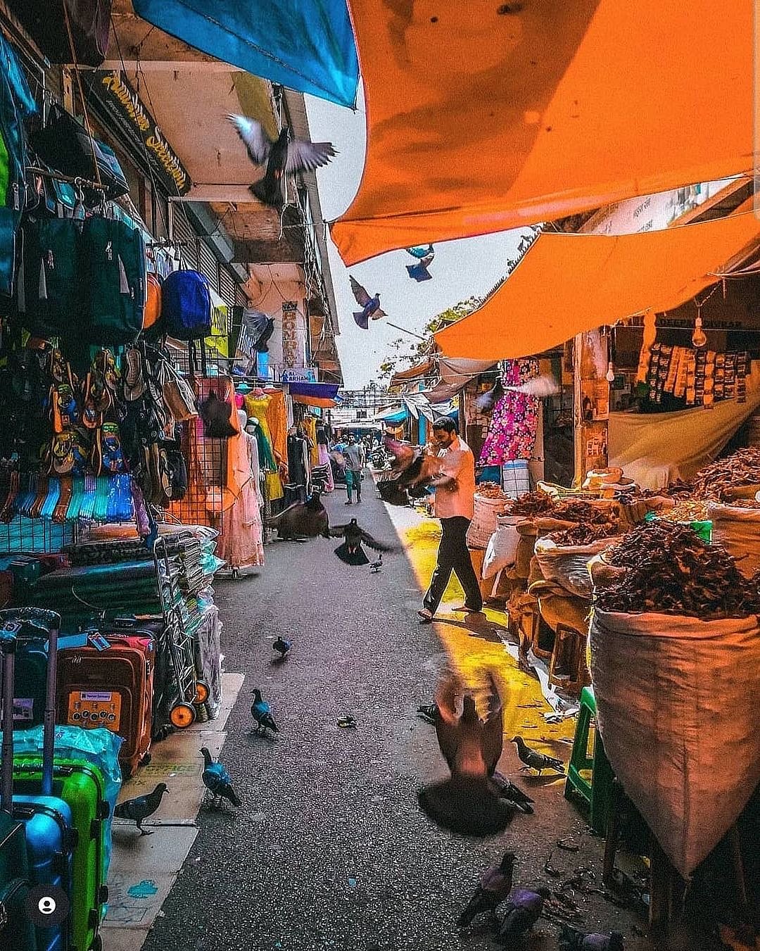 Unlike the other markets, Mapusa Friday Bazaar is a traditional market 