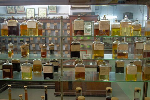 Rows of glass jars with essential oils 