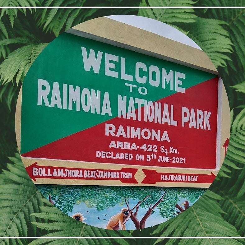Raimona National Park has about 170 species of birds