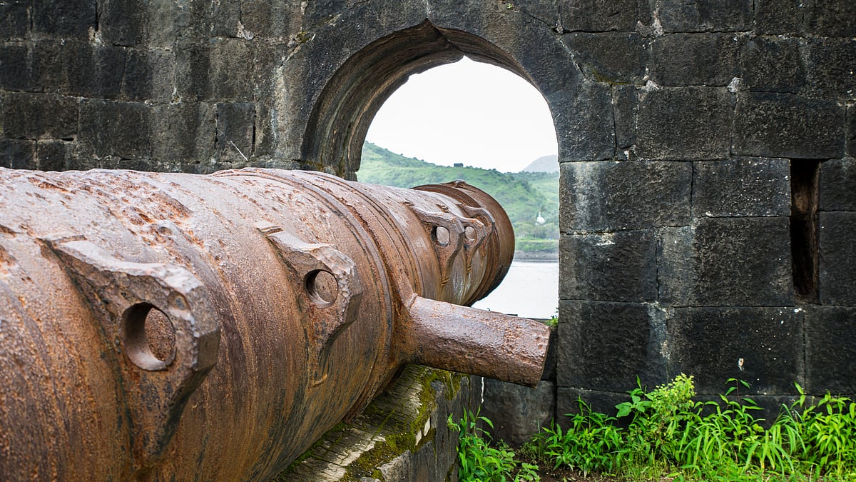 Heavy cannon at the fort wall