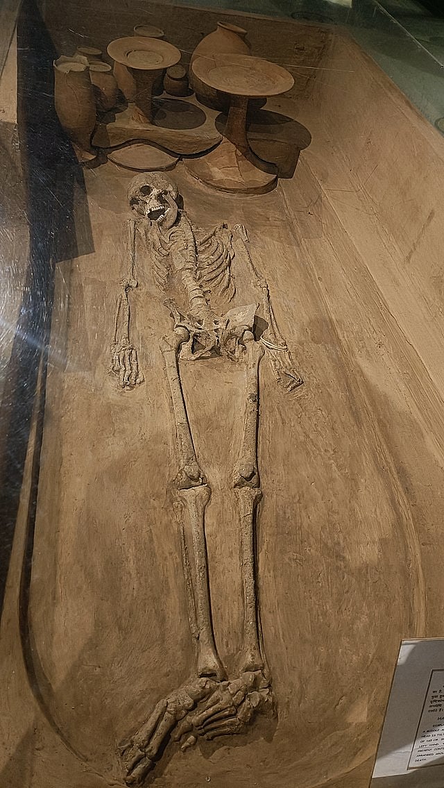 Harappan burial remains from Rakhigarhi