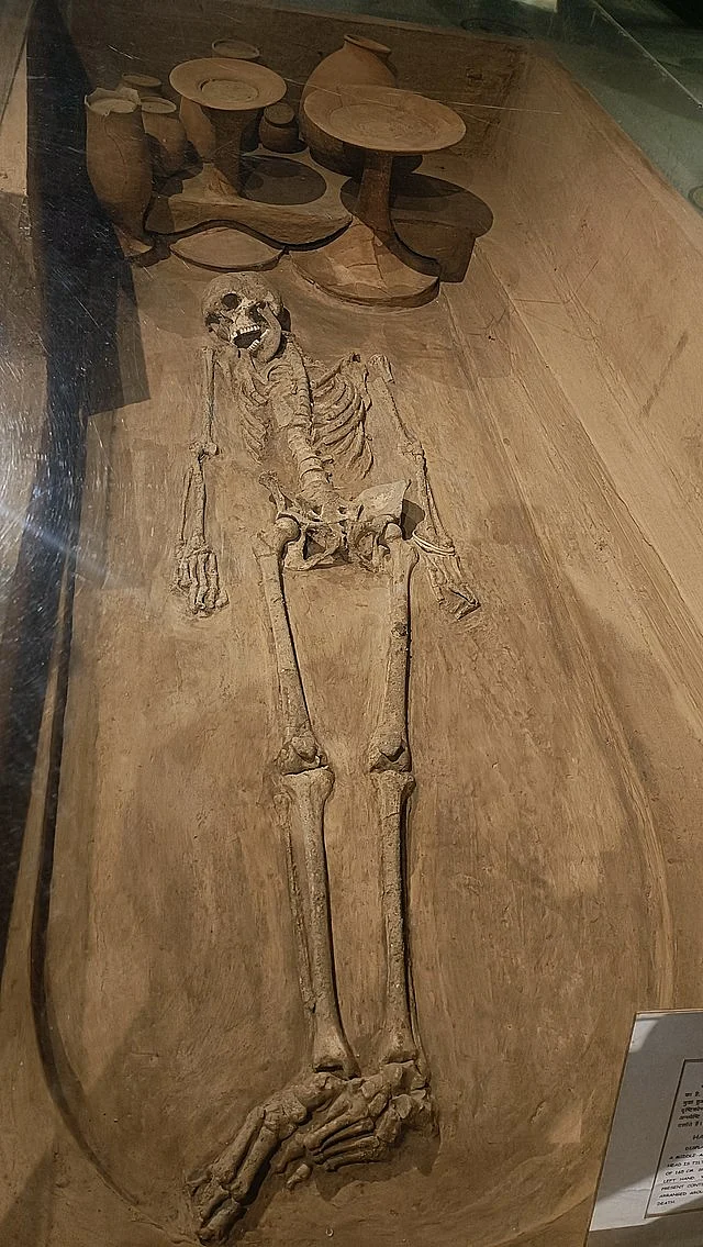 Harappan burial remains from Rakhigarhi