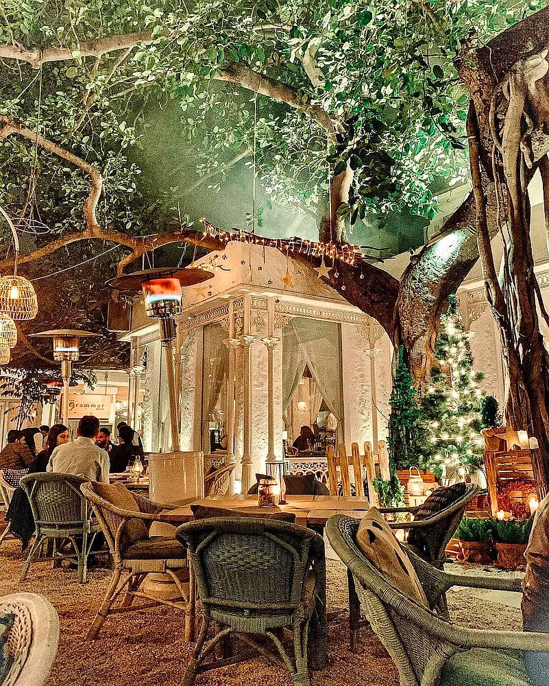 An evening at Olive Bar And Kitchen