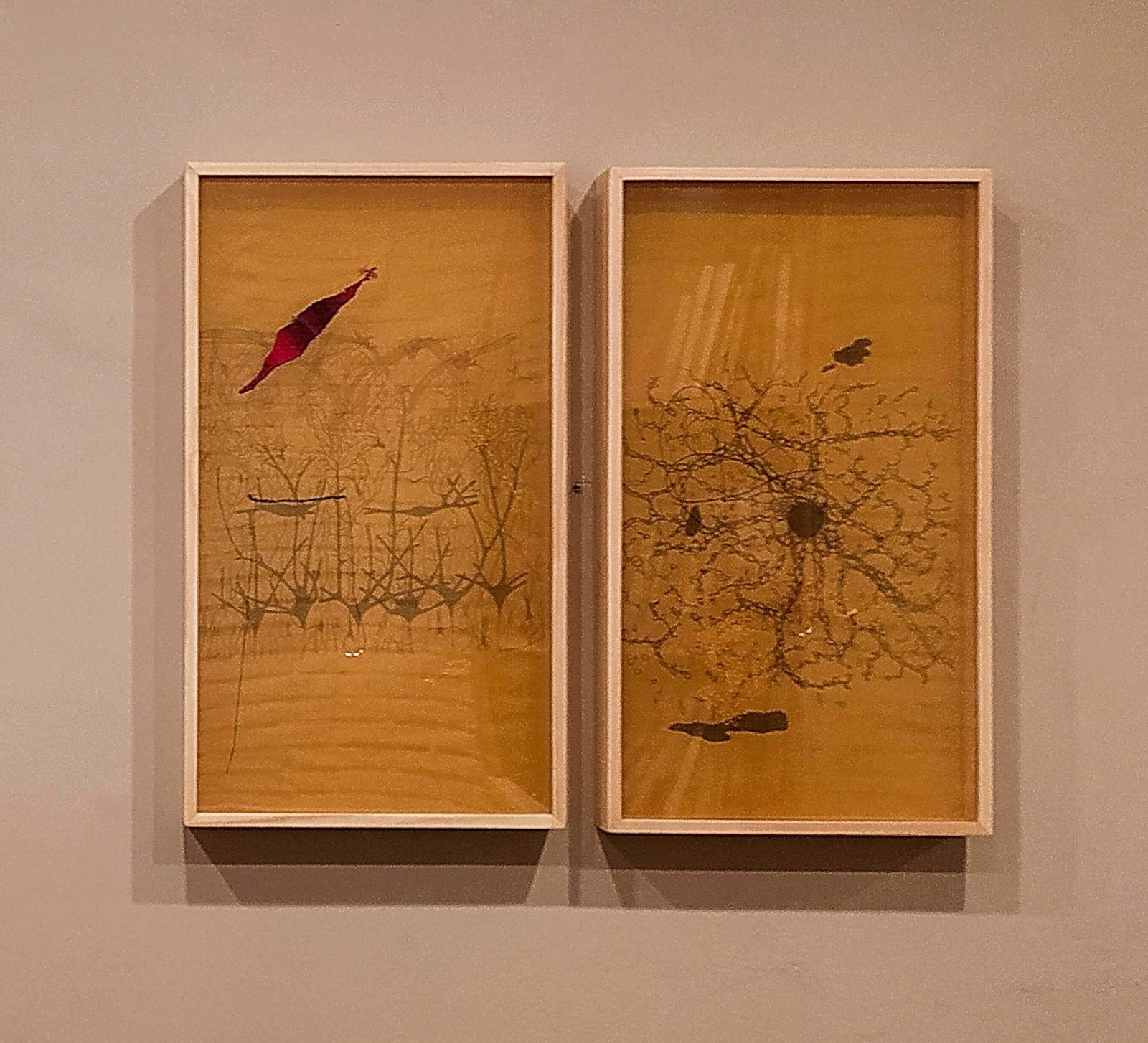 From Sunaina Bhalla's Incursions, Incisions and Renewal