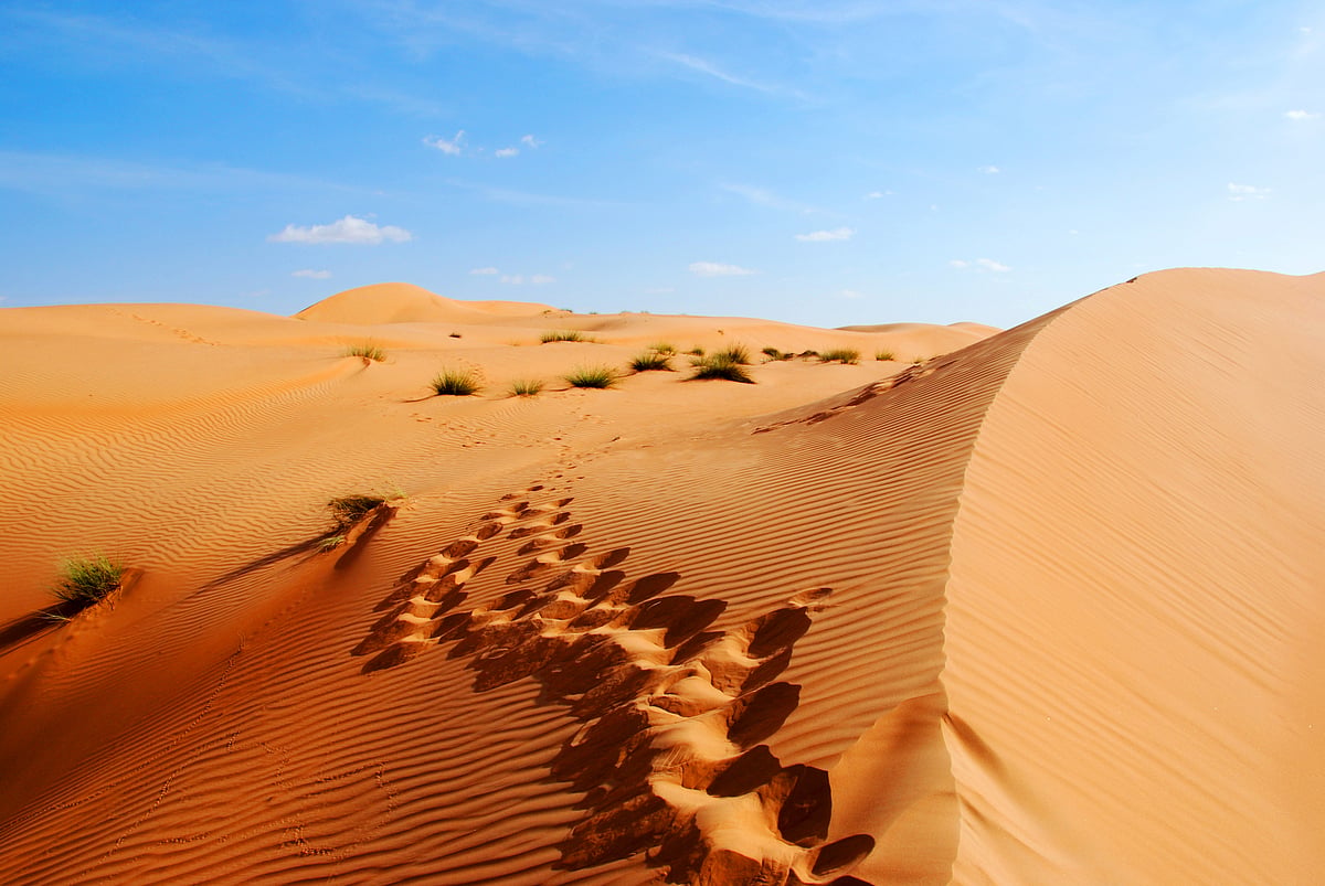 Dunes at the Empty Quarter
