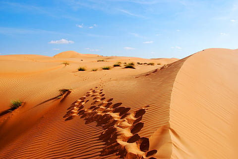 Dunes at the Empty Quarter