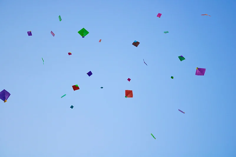 Kites in the sky during Basant Panchami