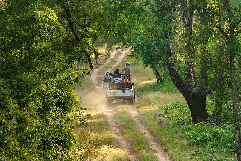 Bandhavgarh National Park, Madhya Pradesh