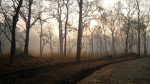 The Muthanga Wildlife Sanctuary