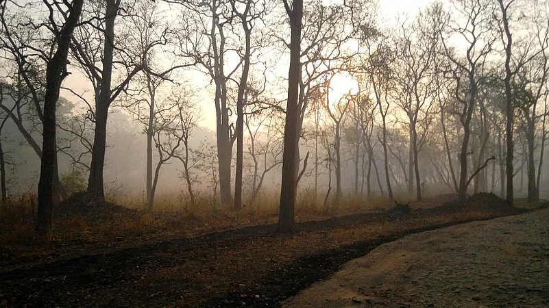 The Muthanga Wildlife Sanctuary