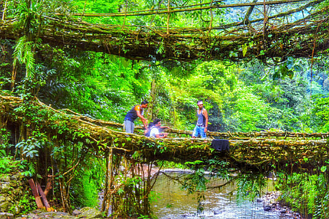 The double decker root bridge in Nongriat