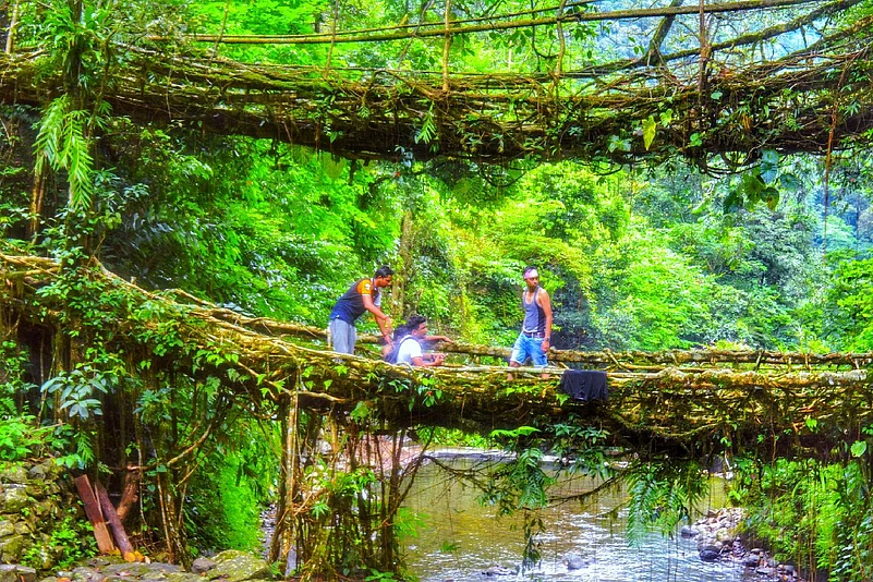 The double decker root bridge in Nongriat