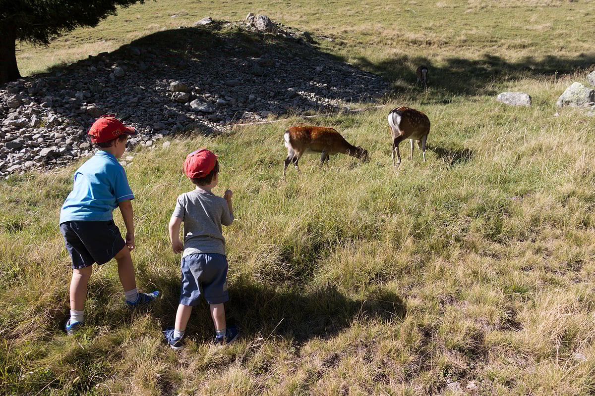 Inform kids about the culture and wildlife of the place you are travelling to
