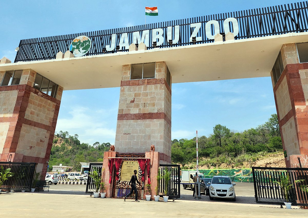  Jambu Zoo