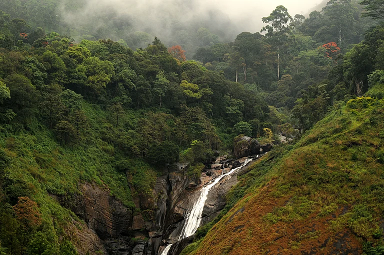 Inside the Eravikulam National Park - Shutterstock