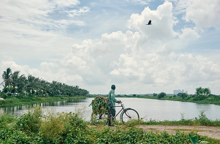 The East Kolkata Wetlands are a complex web of natural and human-made wetlands inside a city - Suprabhat/Shutterstock