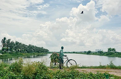 Suprabhat/Shutterstock : The East Kolkata Wetlands are a complex web of natural and human-made wetlands inside a city