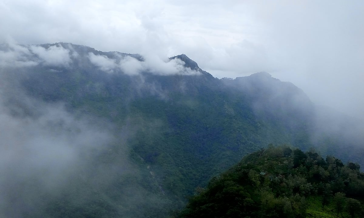 The Nilgiris, or the blue mountains, is a good trekking option