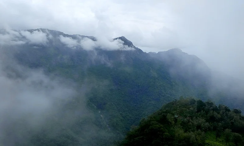 The Nilgiris, or the blue mountains, is a good trekking option