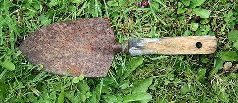 Use a trowel to dig a six to eight inch hole, do your business, and then backfill