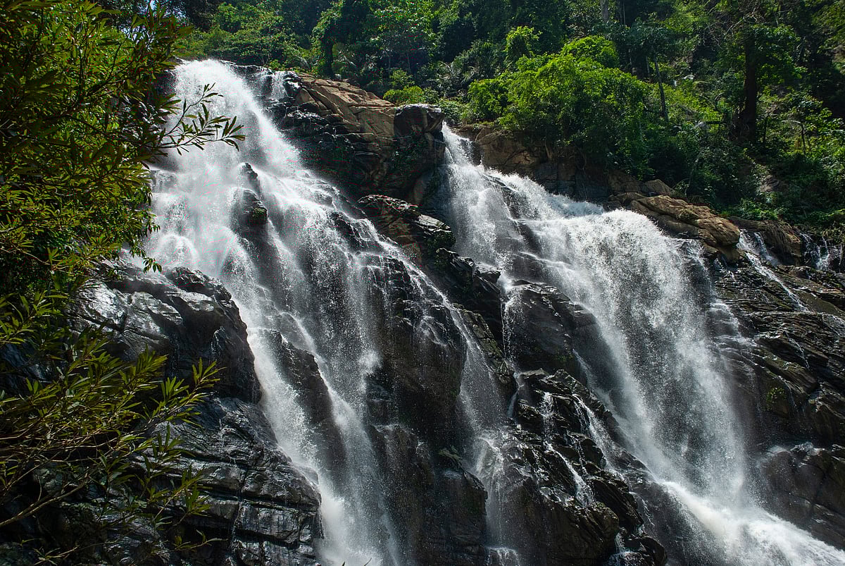 Thusharagiri Waterfalls