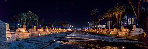 The Avenue of the Sphinxes