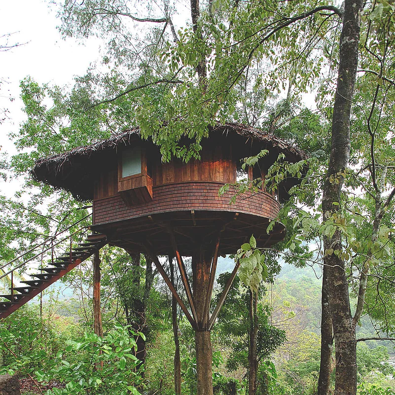 The property has built an eco-friendly tree house