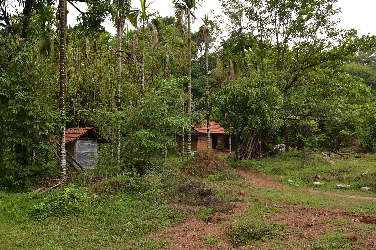 The Agumbe Rainforest Research Station 