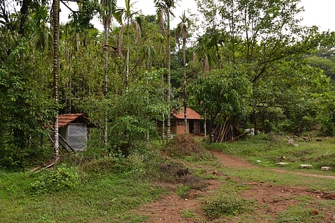 The Agumbe Rainforest Research Station