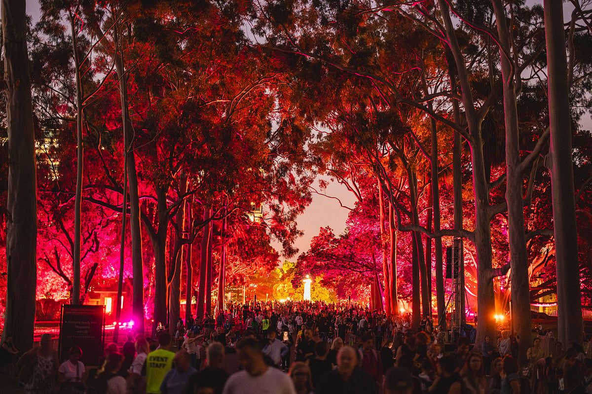 The Trees Speak