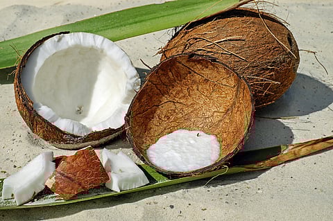 Think twice before carrying coconuts in your hand luggage