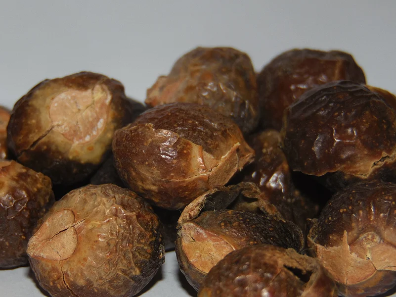 Reetha, also known as Indian soapberry